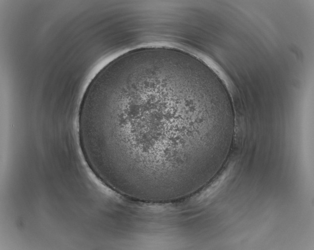 X0000111000951200906191548