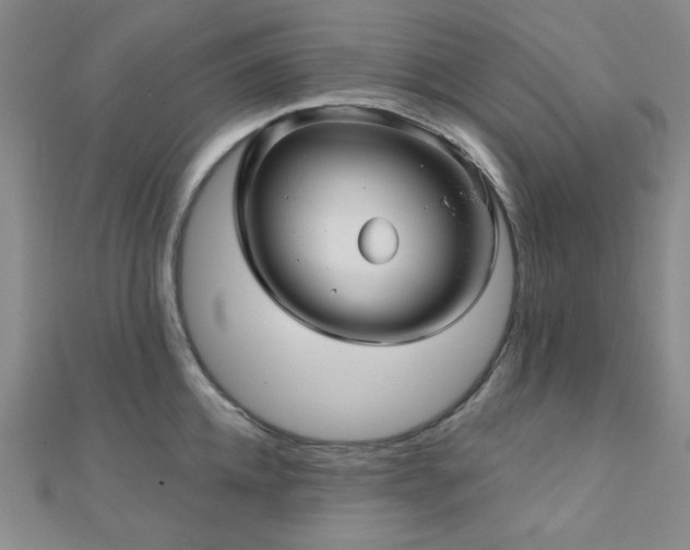 X0000111000952200906191548