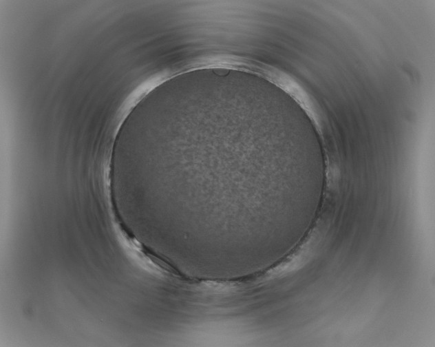 X0000111000954200906191548