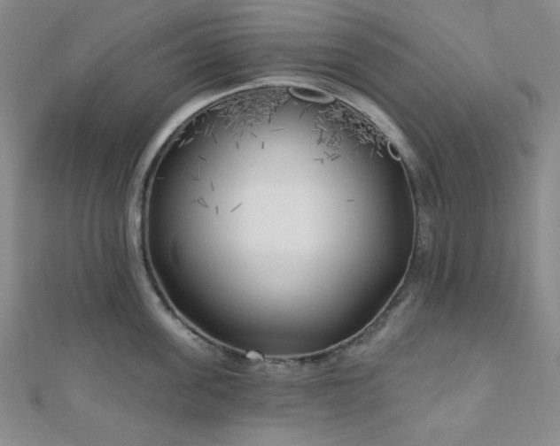 X0000111000955200906191548