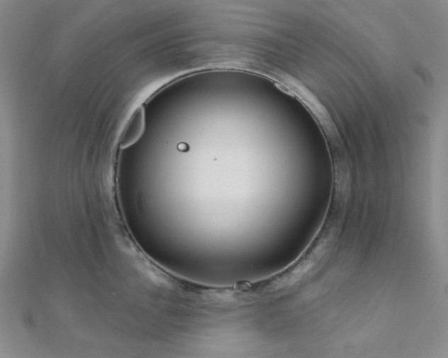 X0000111000956200906191548