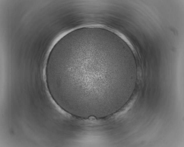 X0000111000959200906191548