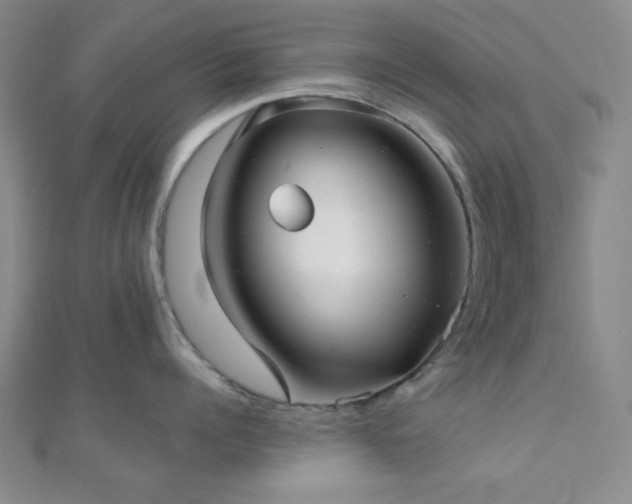 X0000111000960200906191548