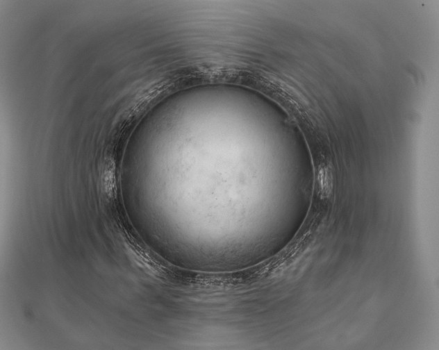X0000111000963200906191547