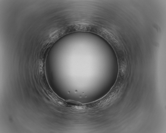 X0000111000964200906191547