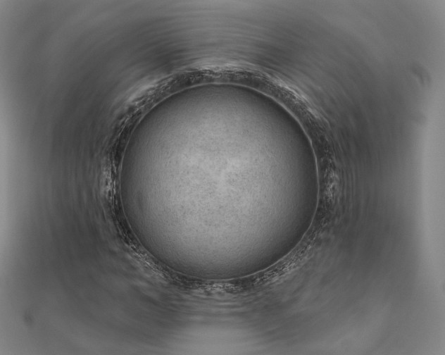 X0000111000966200906191547