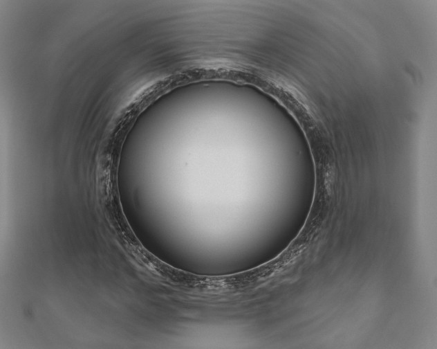 X0000111000968200906191547
