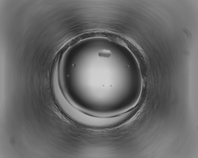X0000111000969200906191547
