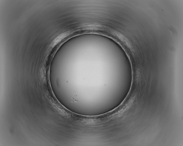 X0000111000970200906191547