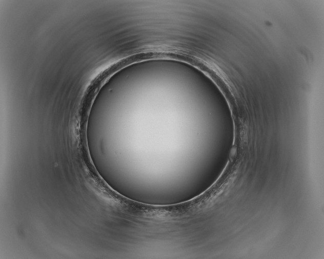 X0000111000971200906191547