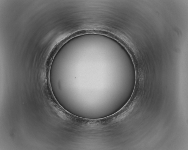 X0000111000974200906191547