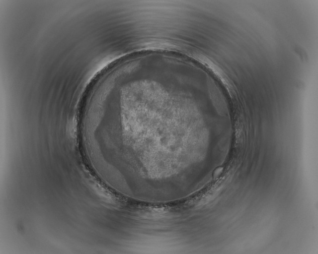 X0000111000975200906191547