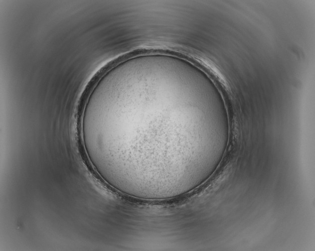 X0000111000976200906191547