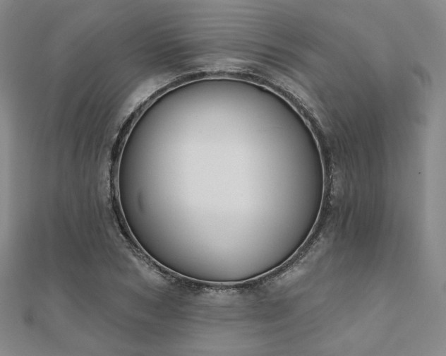 X0000111000978200906191547