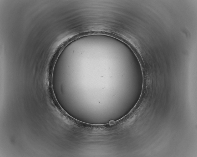 X0000111000979200906191547