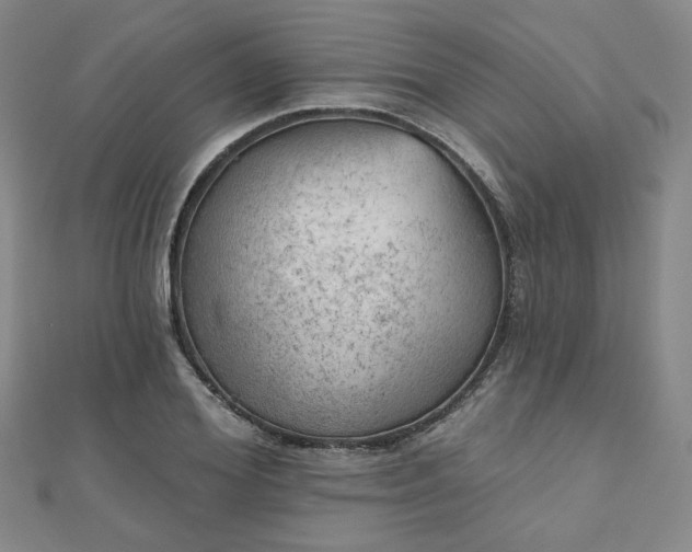X0000111000980200906191547