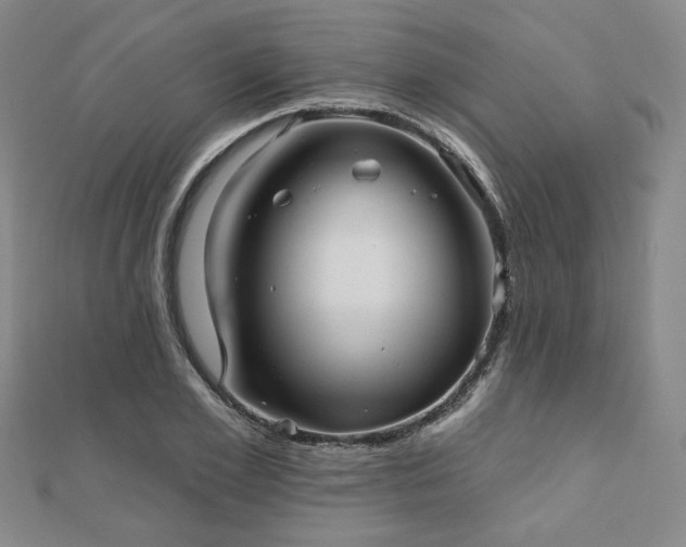 X0000111000981200906191547