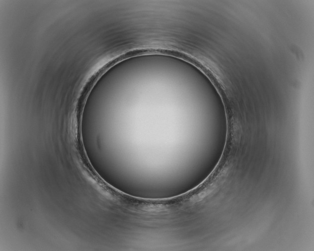 X0000111000982200906191547