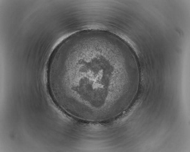 X0000111000983200906191547