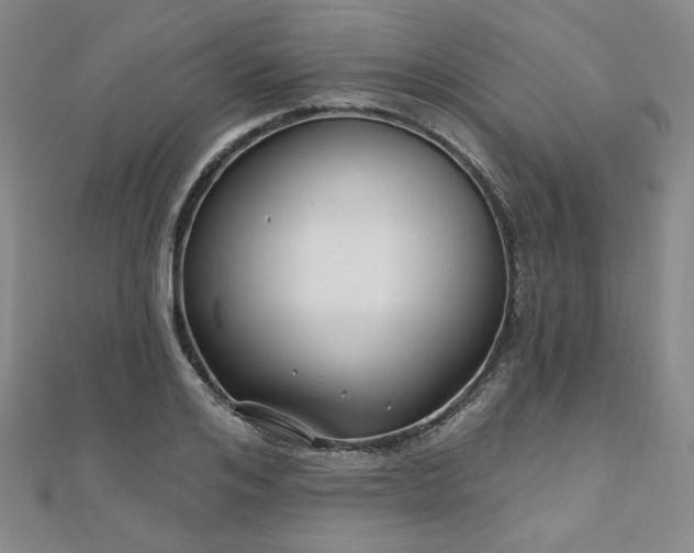 X0000111000984200906191547