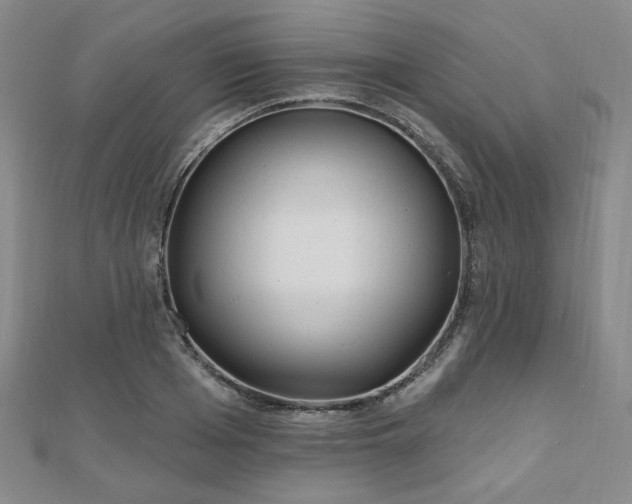 X0000111000985200906191547