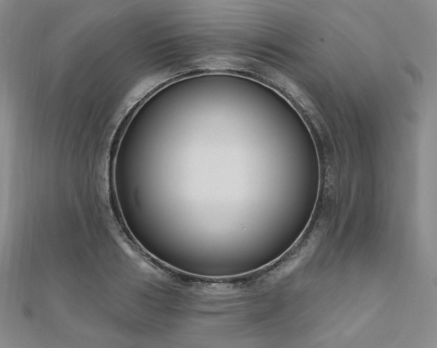 X0000111000986200906191547