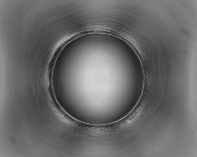 X0000111000987200906191547