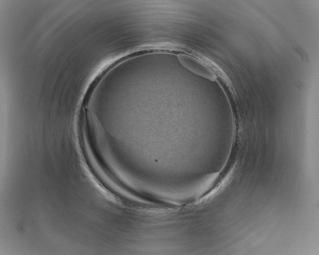 X0000111000989200906191547