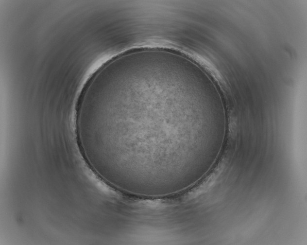 X0000111000990200906191547