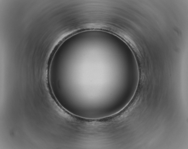 X0000111000992200906191547
