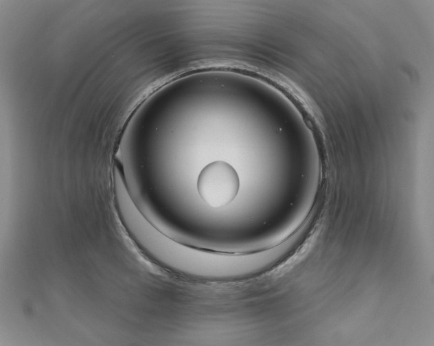 X0000111000993200906191547
