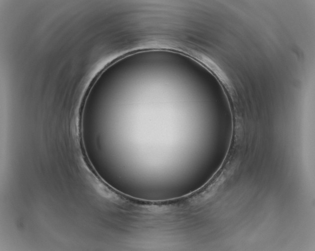 X0000111000996200906191547