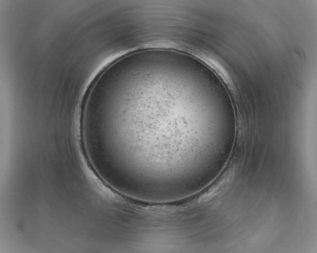 X0000111001000200906191547