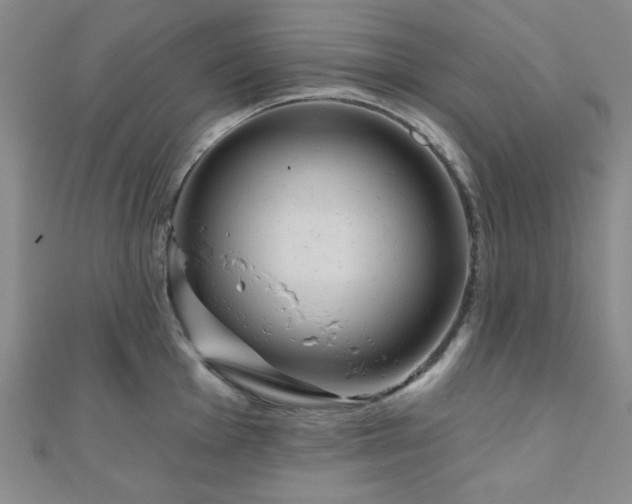 X0000111001001200906191547