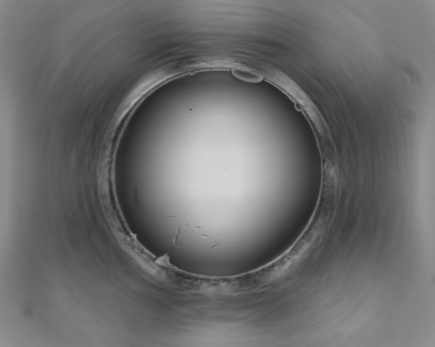 X0000111001002200906191547