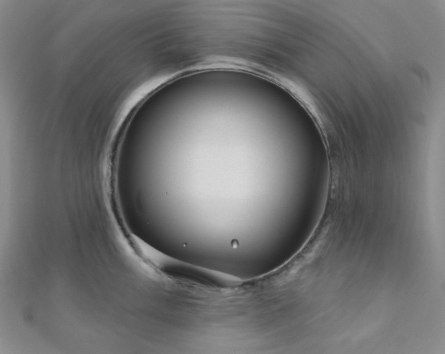 X0000111001003200906191547