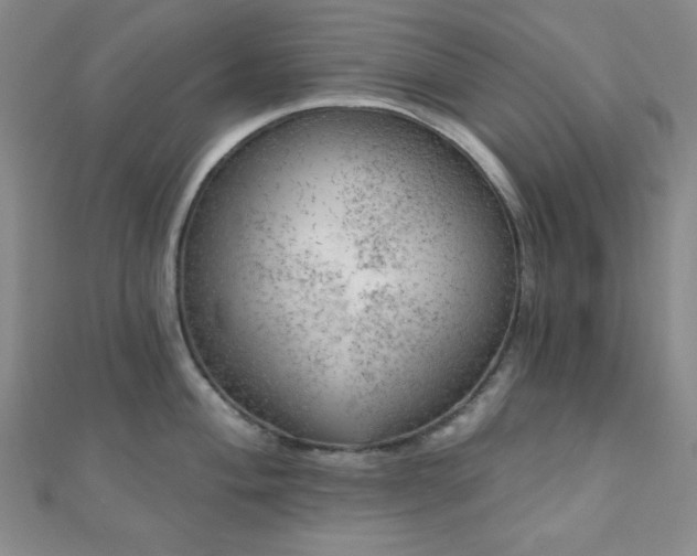 X0000111001004200906191547