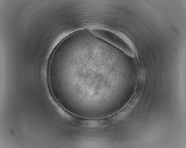X0000111001005200906191547
