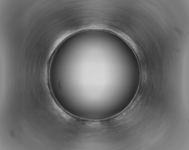 X0000111001006200906191547