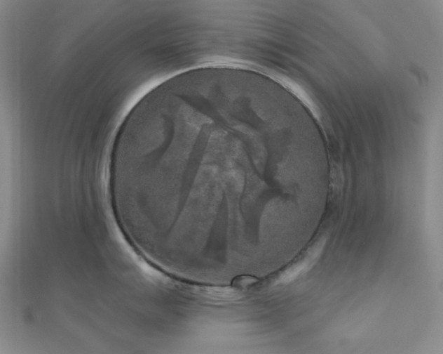 X0000111001007200906191547