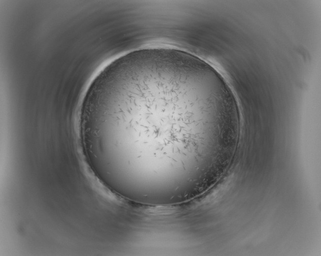 X0000111001008200906191547
