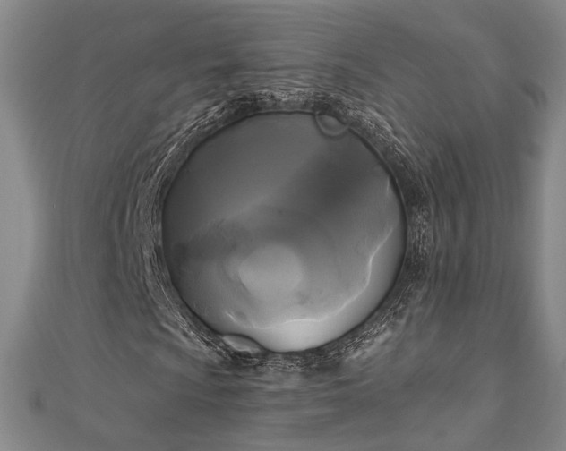 X0000111001009200906191546