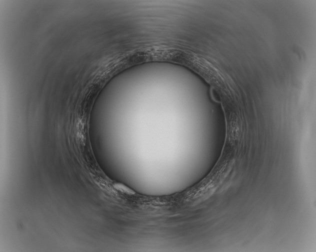 X0000111001010200906191546
