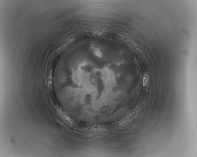 X0000111001011200906191546