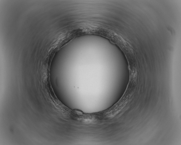 X0000111001012200906191546