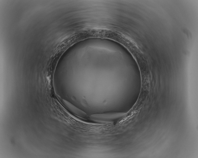 X0000111001013200906191546