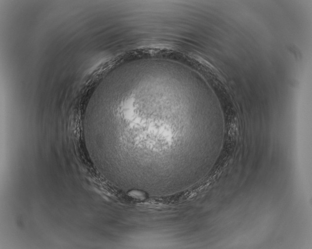 X0000111001014200906191546