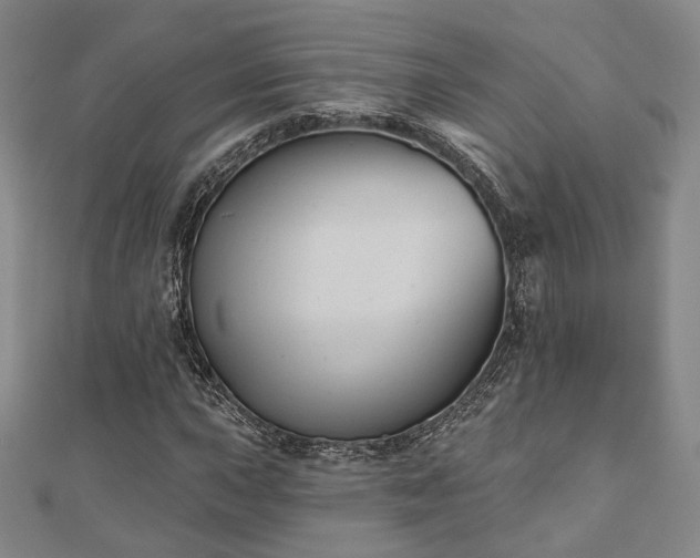 X0000111001015200906191546