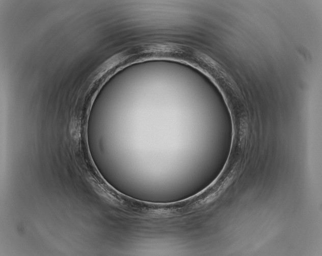 X0000111001017200906191546