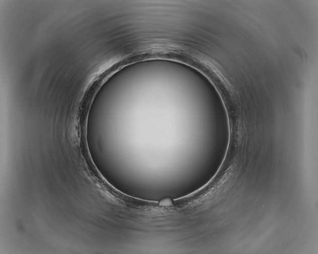 X0000111001018200906191546